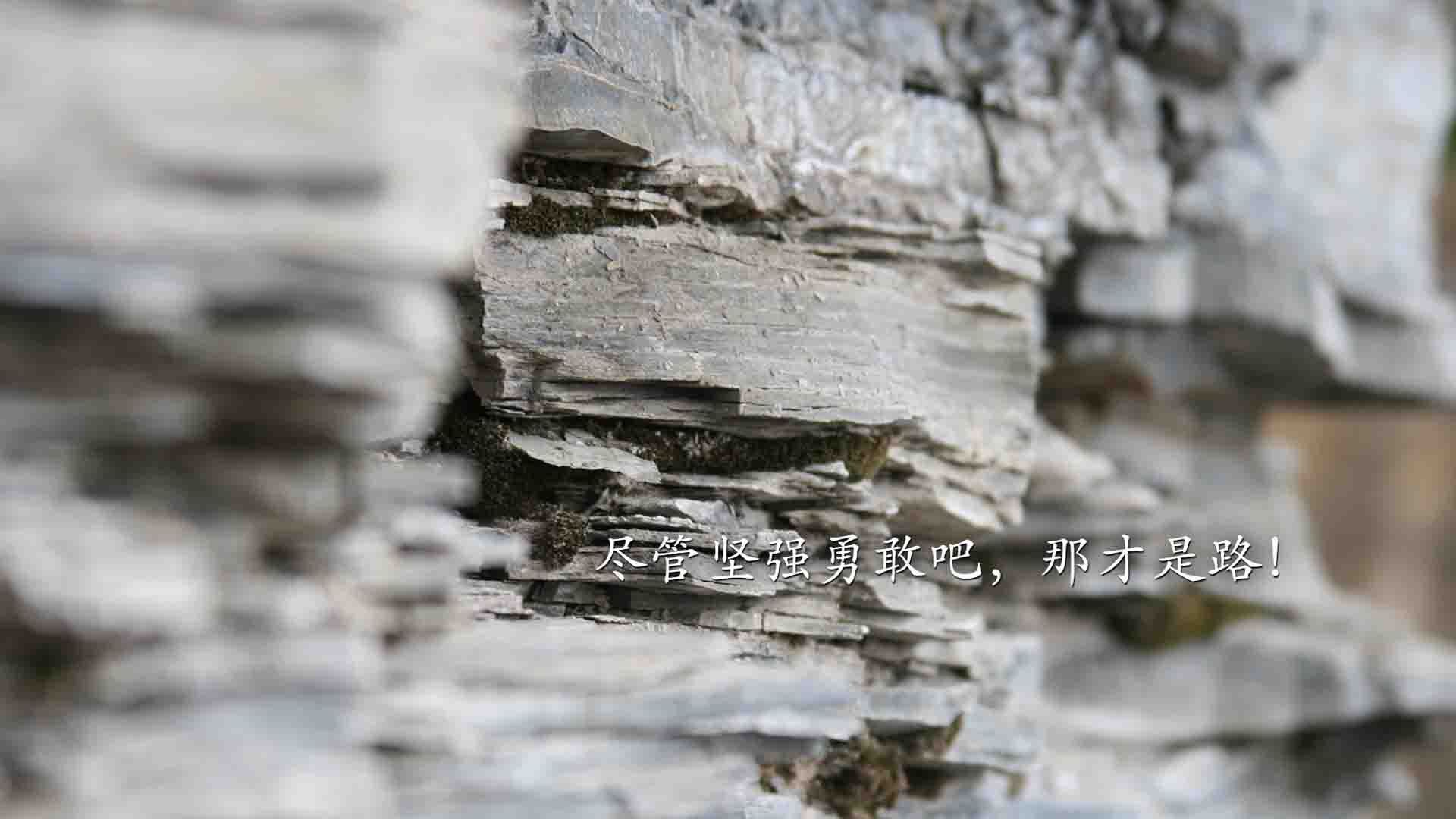“青训明星教练引领，培养新一代足球精英”，足球青训球员有工资吗