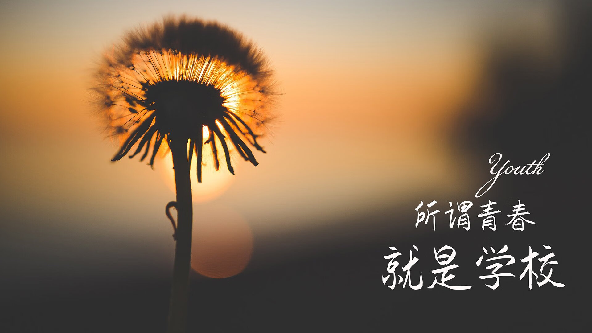 精彩瞬间：台球比赛的难忘回忆，台球比赛精彩视频