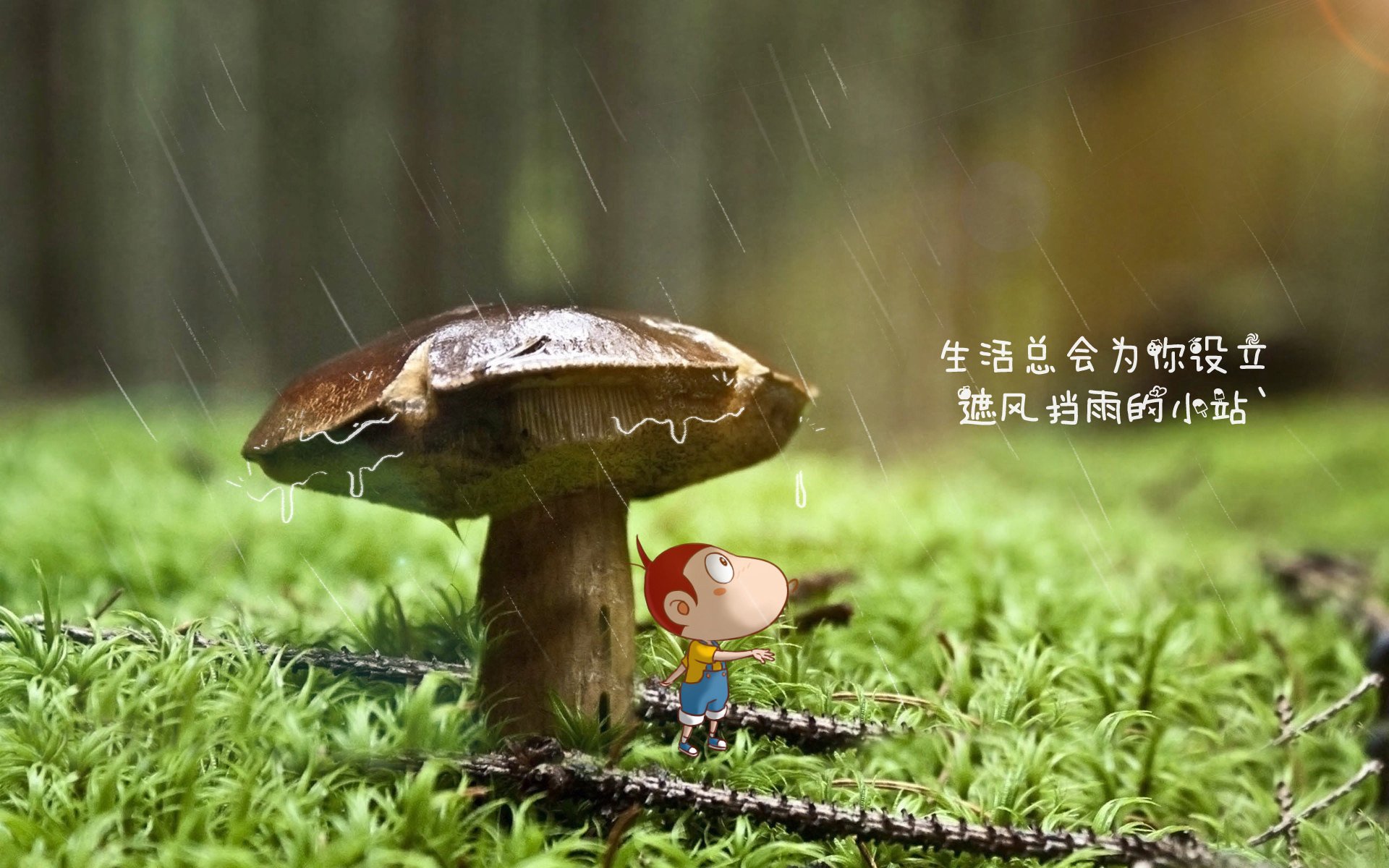 荷兰马术协会与澳大利亚马术协会签署人才交流协议，促进双向发展。