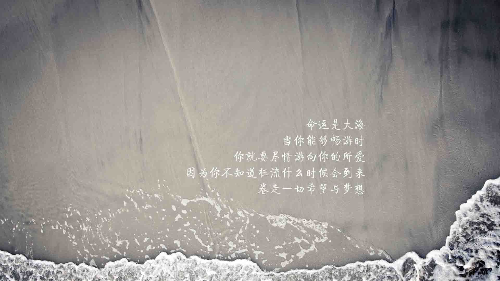 足球专业人员社群平台注册用户增长迅速，足球招募网