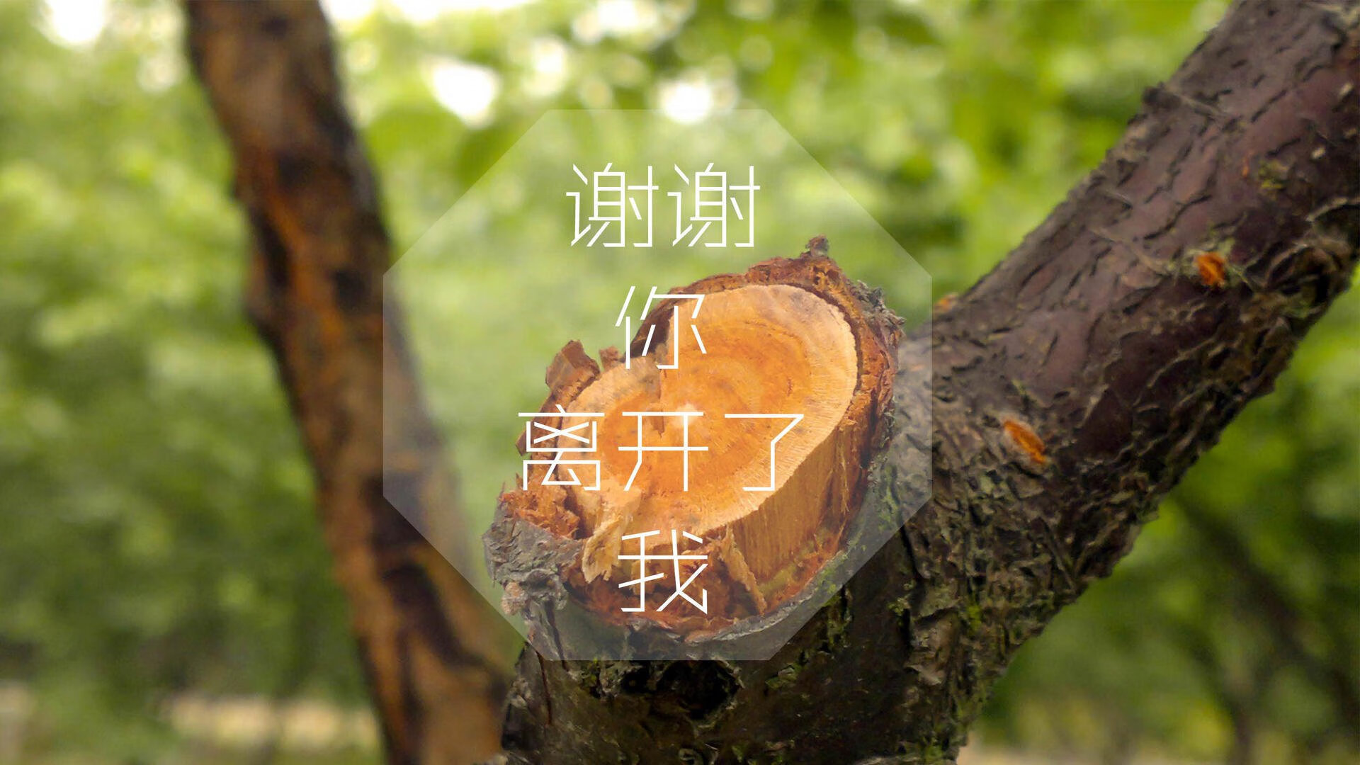 里尔客场小胜尼姆，保持领先优势，里尔[-1]vs尼斯