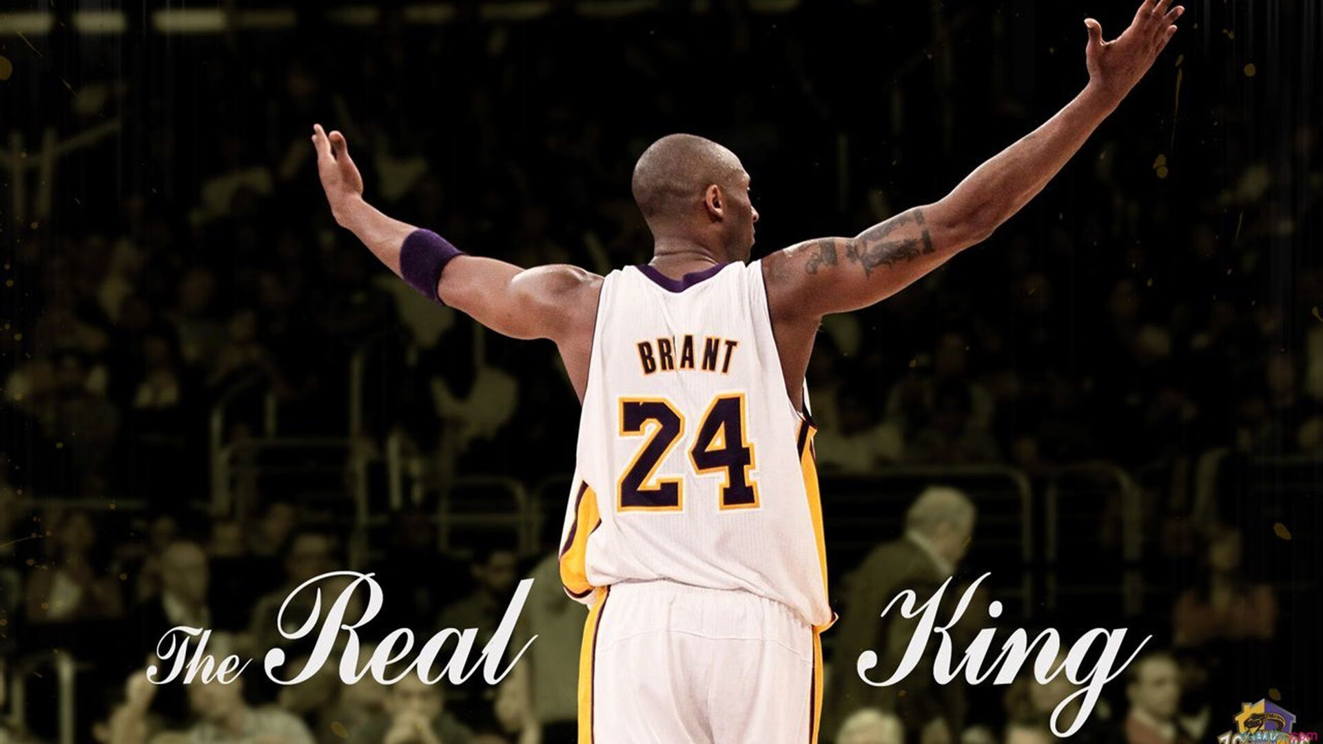 车载智能分析：提升比赛效率，车载智能终端是什么东西